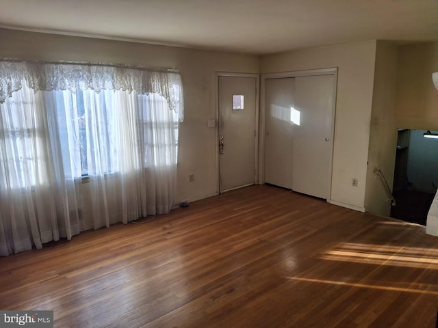 foyer featuring dark wood-type flooring