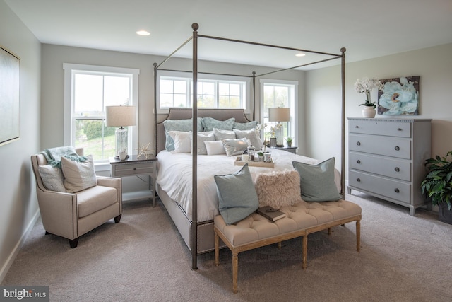 carpeted bedroom featuring multiple windows