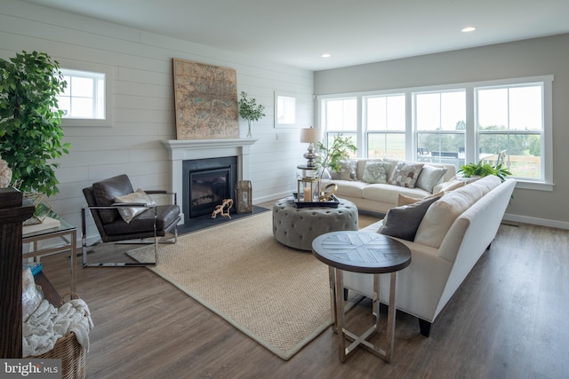 living room with dark hardwood / wood-style floors