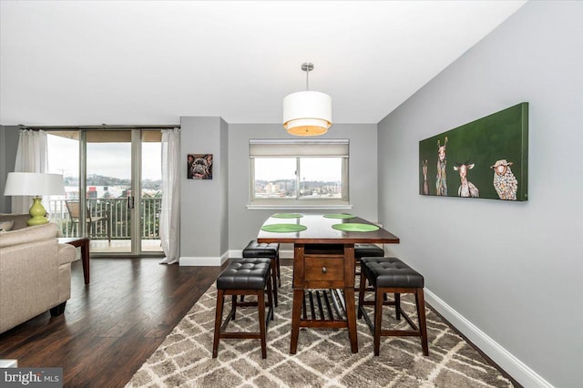 dining room featuring dark wood-type flooring and floor to ceiling windows