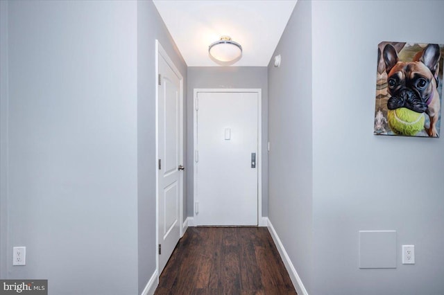 doorway to outside with dark wood-type flooring