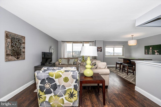 living room with dark wood-type flooring