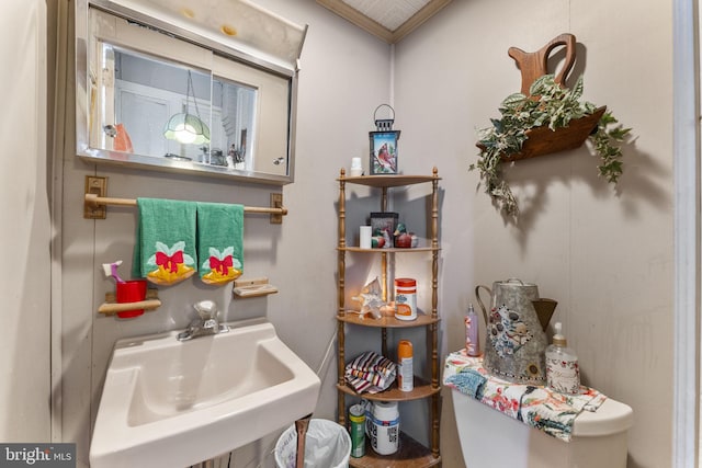 bathroom with ornamental molding and sink