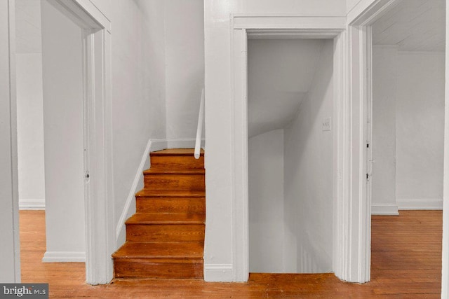 staircase featuring wood-type flooring