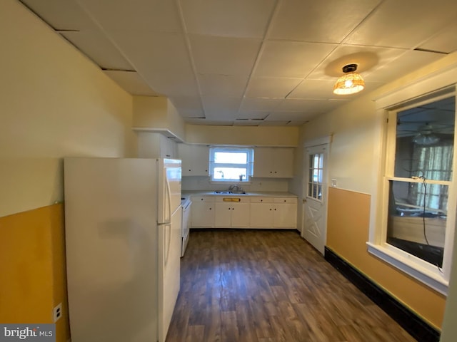 kitchen with sink, white cabinetry, dark hardwood / wood-style floors, white refrigerator, and a drop ceiling