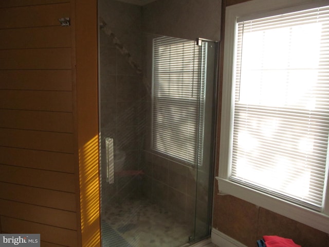 bathroom with a wealth of natural light and a shower with door