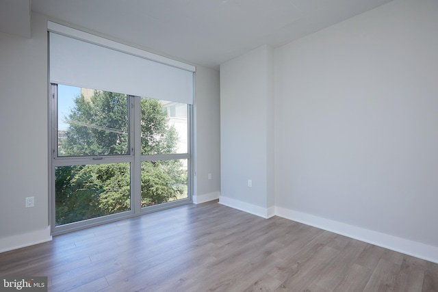 spare room with a wall of windows and light hardwood / wood-style flooring