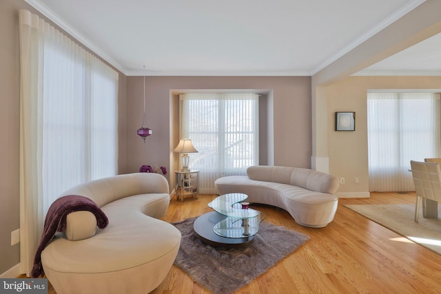 living room featuring hardwood / wood-style flooring and crown molding