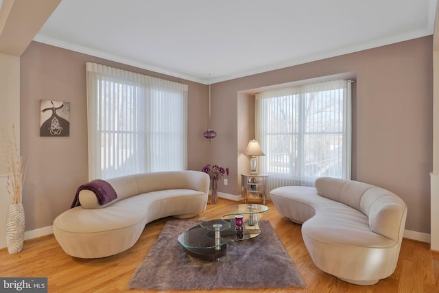 living room with hardwood / wood-style flooring and crown molding