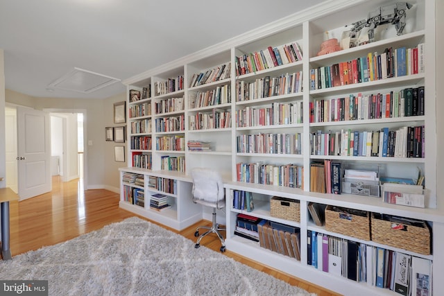 sitting room with light hardwood / wood-style flooring