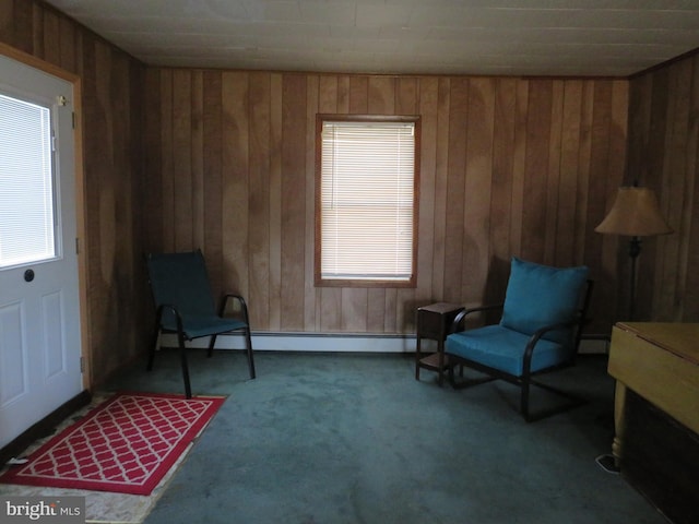 living area with carpet flooring, wooden walls, and baseboard heating