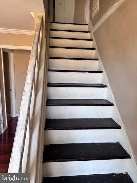 staircase featuring hardwood / wood-style flooring and crown molding