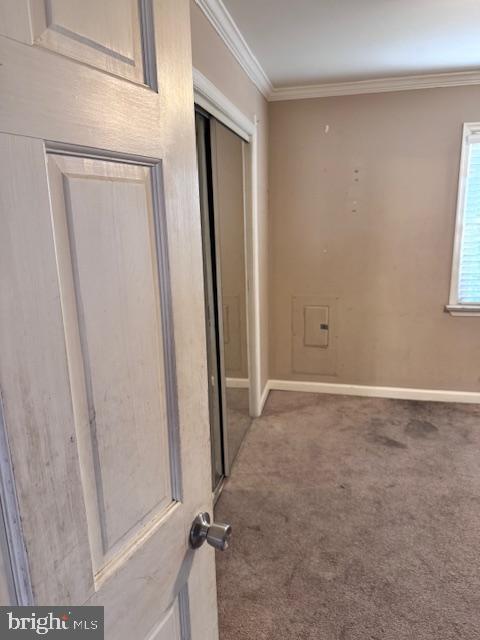 interior space with crown molding and carpet