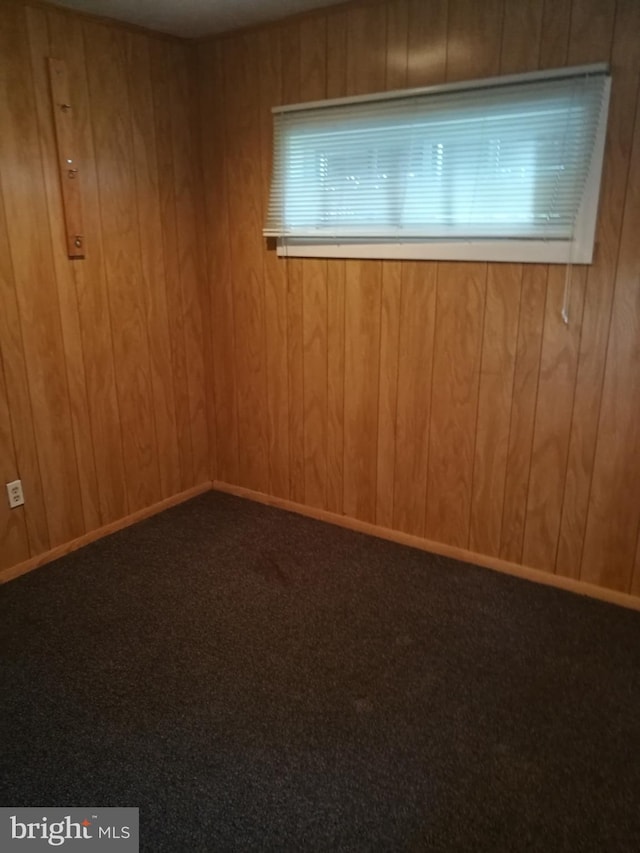 spare room with wood walls and carpet flooring