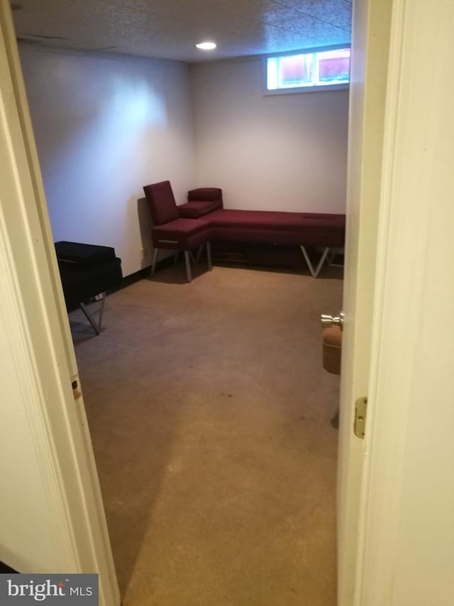 sitting room with carpet and a textured ceiling