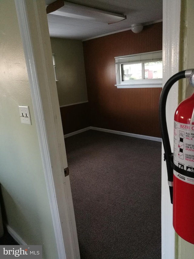 interior space with carpet