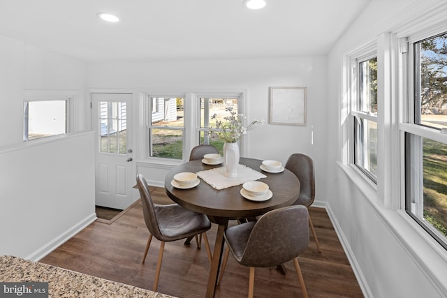 dining room featuring lofted ceiling and dark wood-type flooring