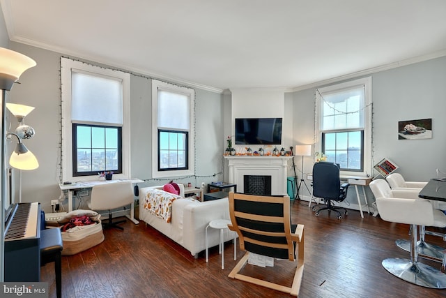 living room with crown molding and dark hardwood / wood-style floors