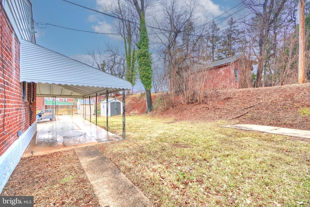 view of yard featuring a patio area and a shed