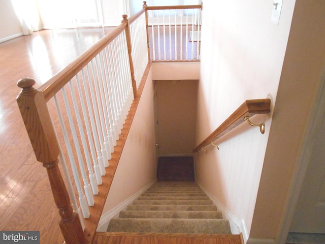 stairway featuring hardwood / wood-style flooring