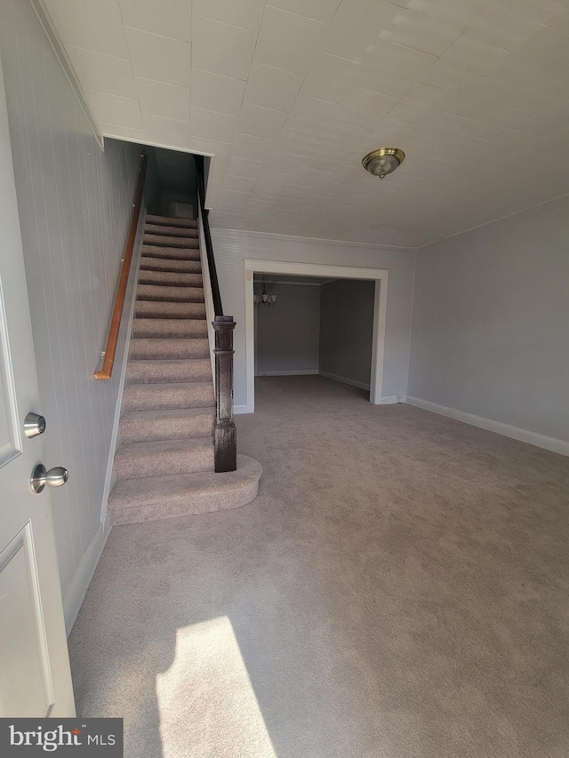 stairway featuring carpet flooring