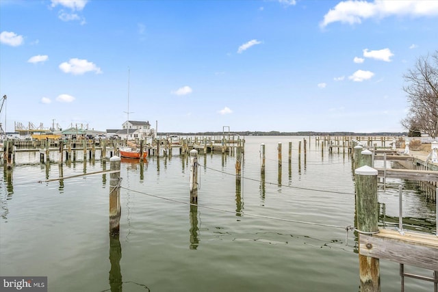 dock area featuring a water view