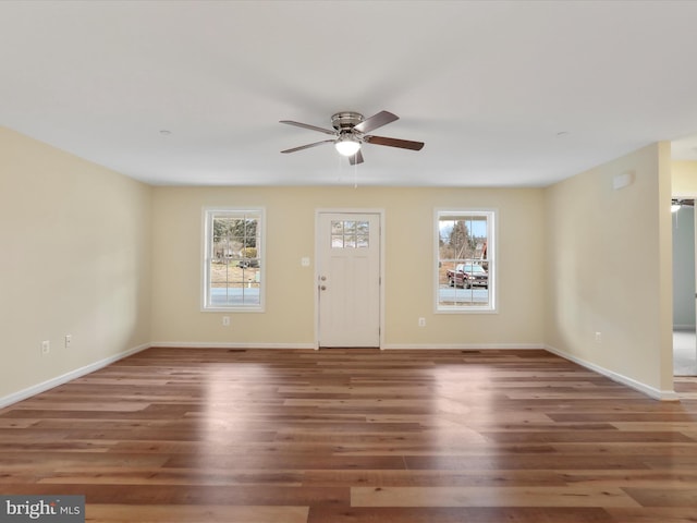 entryway featuring a wealth of natural light, dark hardwood / wood-style floors, and ceiling fan