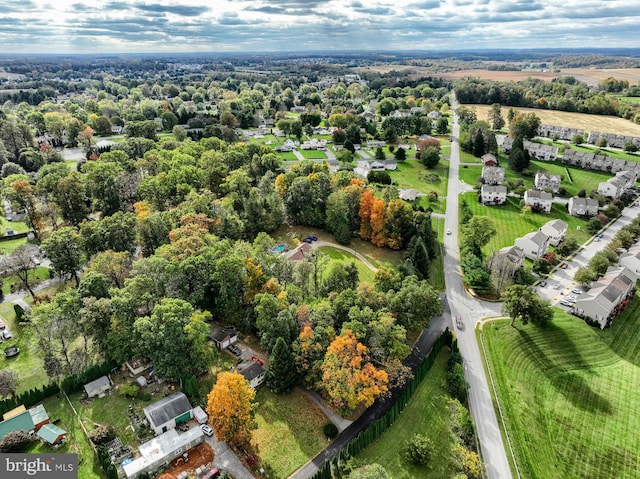 bird's eye view