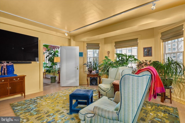 living room with rail lighting and light wood-type flooring