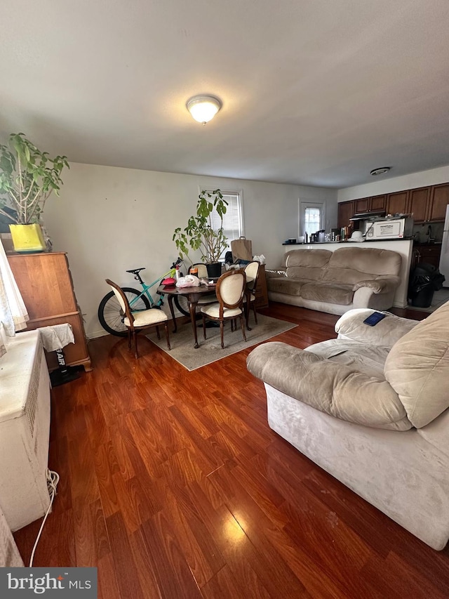 living room with dark hardwood / wood-style flooring