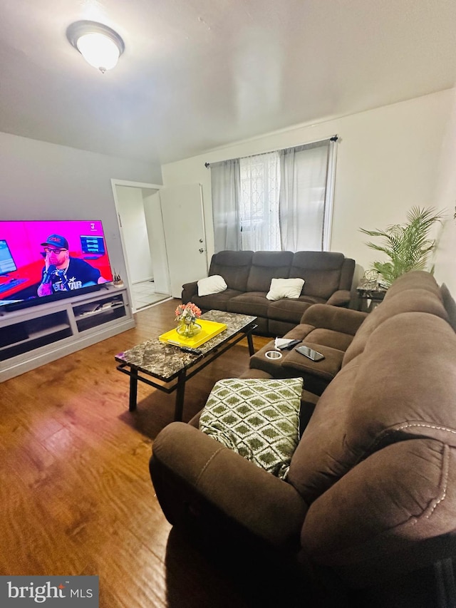 living room with hardwood / wood-style flooring