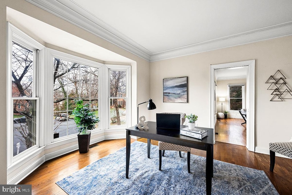 office space with wood-type flooring and ornamental molding