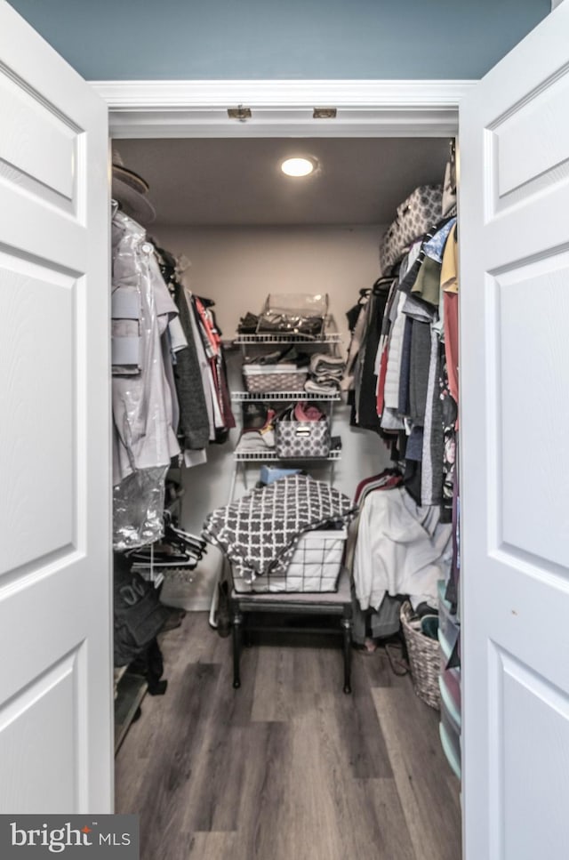 spacious closet featuring hardwood / wood-style flooring