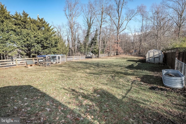 view of yard with a shed