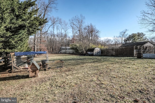 view of yard with a storage shed