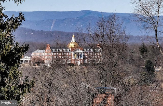 view of mountain feature