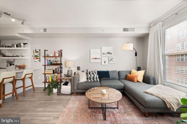 living room with wood-type flooring and ornamental molding