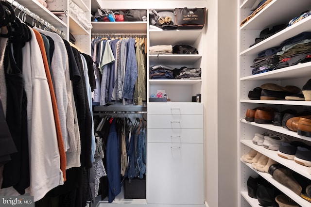 view of walk in closet