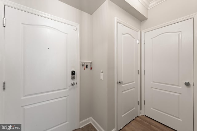 doorway to outside featuring dark wood-type flooring