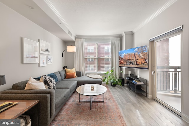 living room featuring hardwood / wood-style floors and ornamental molding