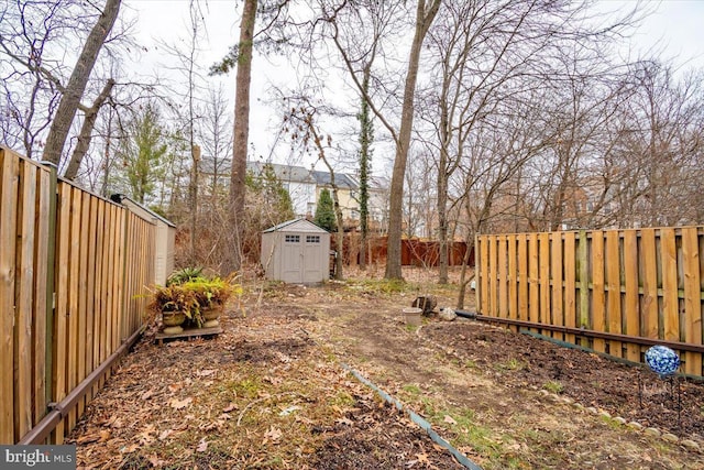 view of yard featuring a shed