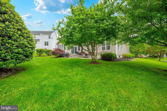 11050 Sanandrew Dr, New Market, MD 21774 - view of grassy yard