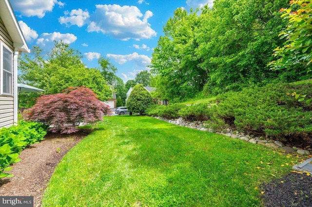 11050 Sanandrew Dr, New Market, MD 21774 - view of grassy yard