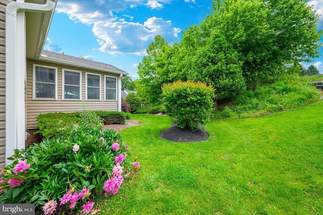 11050 Sanandrew Dr, New Market, MD 21774 - view of grassy yard