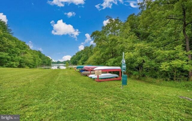 11050 Sanandrew Dr, New Market, MD 21774 - view of grassy yard featuring a water view and a view of trees