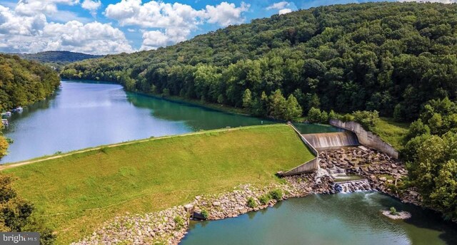 11050 Sanandrew Dr, New Market, MD 21774 - drone / aerial view of a heavily wooded area and a nearby body of water