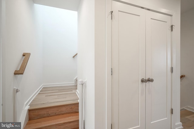 staircase featuring wood-type flooring