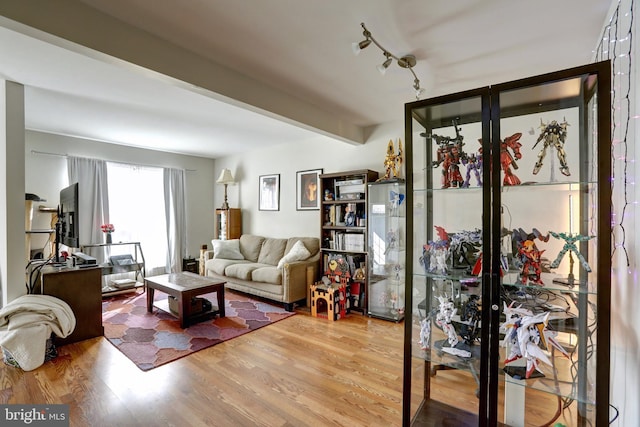 living room featuring wood-type flooring and beam ceiling