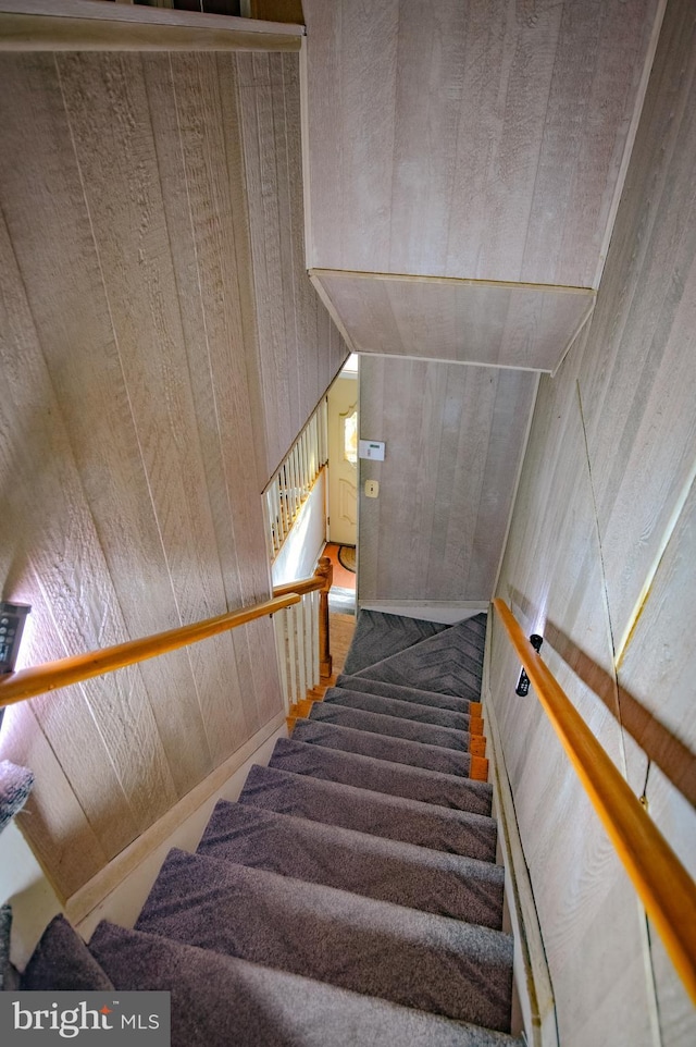 staircase featuring wooden walls