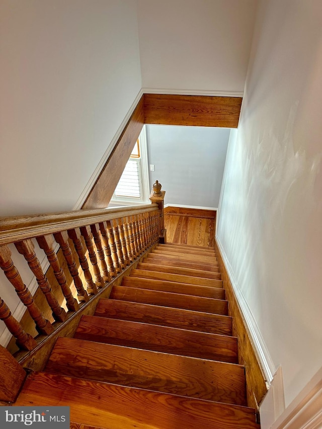 stairs featuring hardwood / wood-style flooring